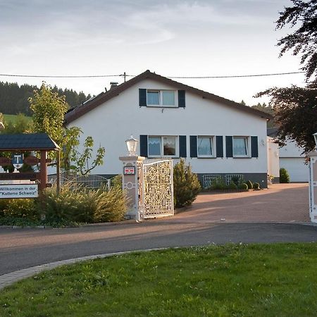 Haus Kottenborn Am Nuerburgring Exterior foto